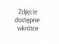 ADW - Koszulka uniwersalna + Wkręt (PZ) - zdjęcie 1